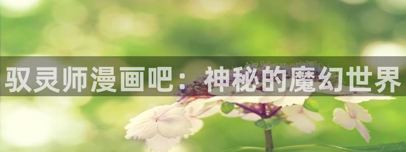 哔咔漫画最新版下载地址：驭灵师漫画吧：神秘的魔幻世界