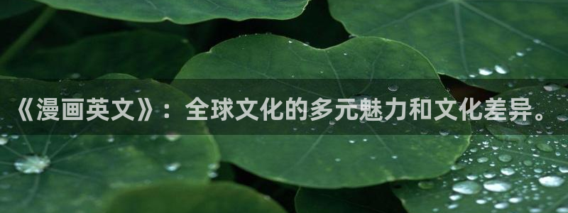 哔咔漫画大全：《漫画英文》：全球文化的多元魅力和文化差异。